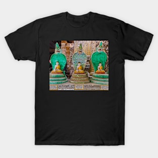 Snake Pagoda5. T-Shirt